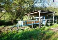 NEUER PREIS! AUSSERGEWÖHNLICHES JUWEL! Exklusiver Vierkanthof im Thermenland Steiermark – Wohnen, Reiten &amp; Leben mit Pool und Natur!