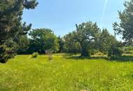 "2535m² großes Grundstück BK I & II"