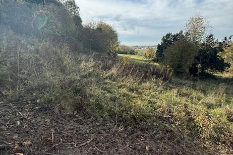 Bäume und Wiese mit Zufahrt und Parkmöglichkeit, Grund und Boden-kauf, 69.000,€, 3433 Tulln
