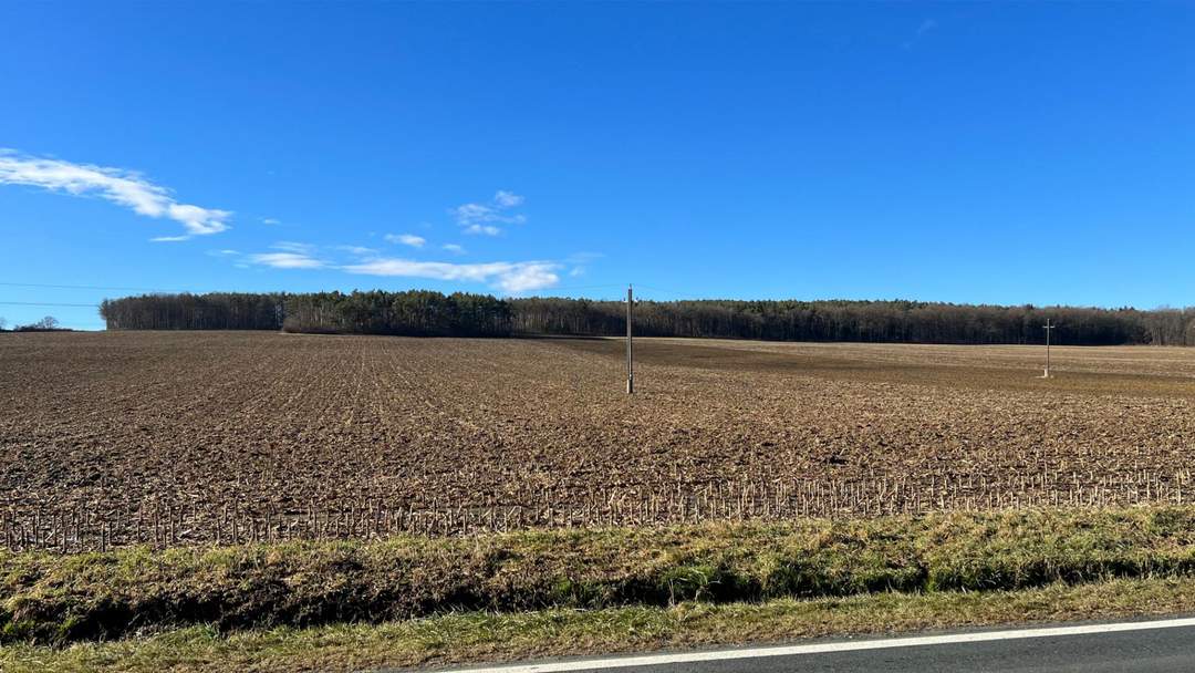 GROßE landwirtschaftliche Flächen (ca. 27 ha!) und ein Waldgrundstück! Auch Teilkauf möglich! BEZIRK OBERWART!