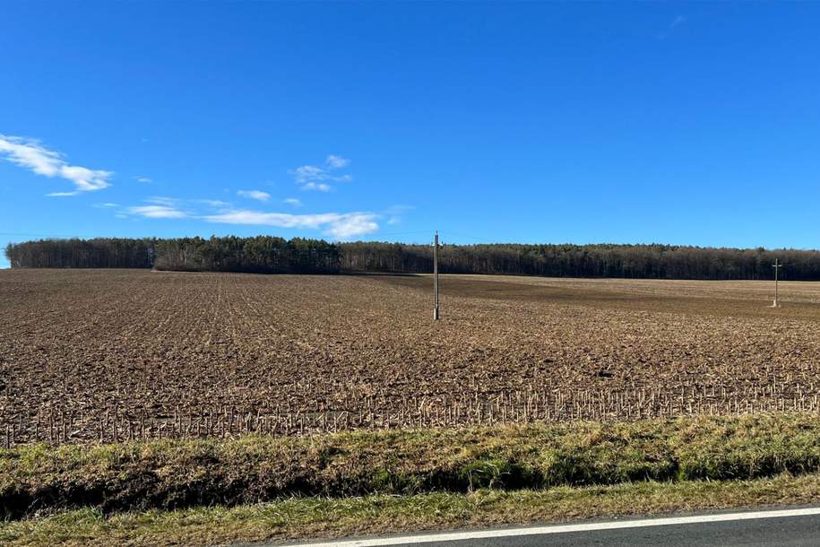 GROßE landwirtschaftliche Flächen (ca. 27 ha!) und ein Waldgrundstück! Auch Teilkauf möglich! BEZIRK OBERWART!, Gewerbeobjekt-kauf, 7400 Oberwart