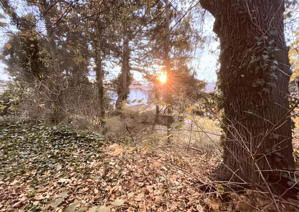 RARITÄT IN DER NÄHE VON SCHÖNBRUNN: Baugrundstück mit Altbestand &amp; Fernblick