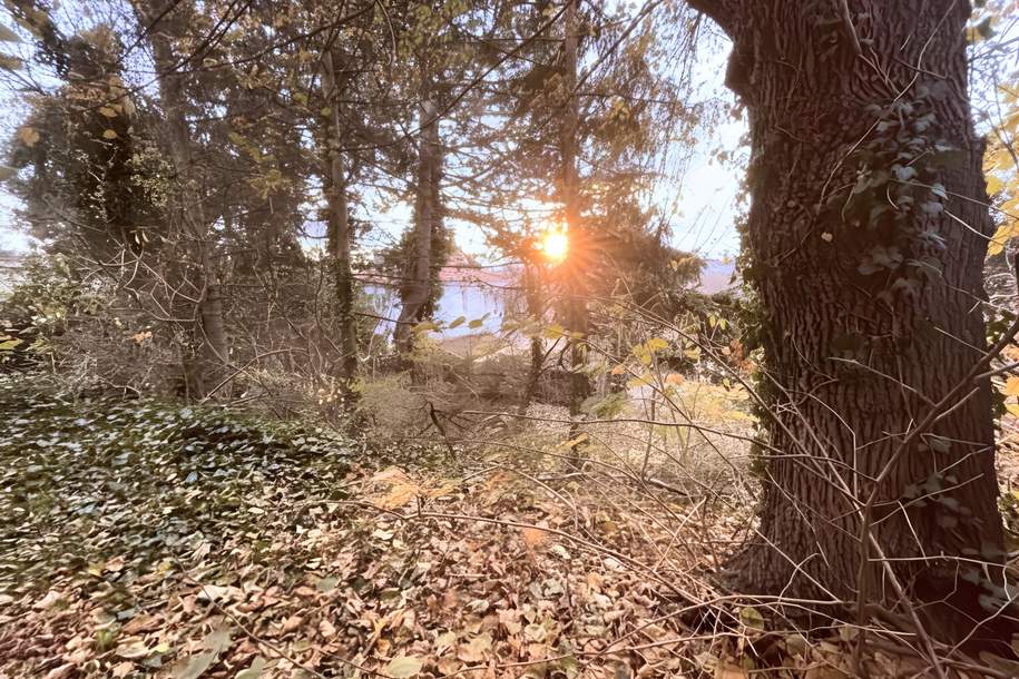 RARITÄT IN DER NÄHE VON SCHÖNBRUNN: Baugrundstück mit Altbestand &amp; Fernblick, Grund und Boden-kauf, 1.499.000,€, 1130 Wien 13., Hietzing