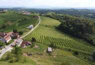 IN SLOWENIEN - Weingut in der berühmten Weinbauregion JERUZALEM