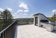 Dacherstbezug mit spektakulärem Wienblick, Terrassen & Dachterrasse in "WOLKE sieben"