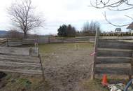 Wohnhaus mit Pferdekoppel, Roundpen &amp; mehr