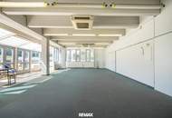 Raum für Unternehmen – Moderne Gewerbefläche in Hof bei Salzburg