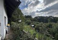Einfamilienhaus mit großem Keller und traumhaftem Wald-Blick