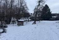 Baugrundstück im Grünen