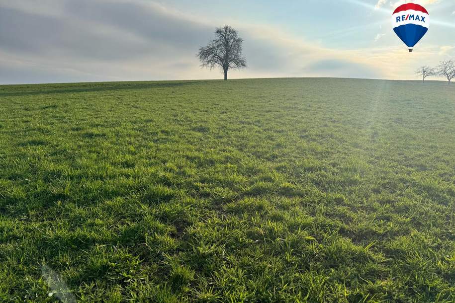 Ackerfläche nahe Waizenkirchen/Stroheim, Grund und Boden-kauf, 155.000,€, 4730 Grieskirchen