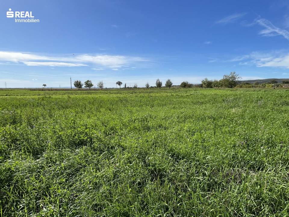 Exklusives Grundstück - Grüner Ausblick bis zum Neusiedlersee