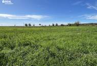 Exklusives Grundstück - Grüner Ausblick bis zum Neusiedlersee