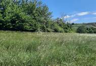 Traumhaftes Baugrundstück in Thallern: 4392 m² für Ihr Eigenheim um nur 249.000 €!