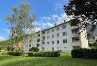 Sanierte 4-Zimmer Familienwohnung mit Loggia und Parkplatz - Übernahme der Küche möglich