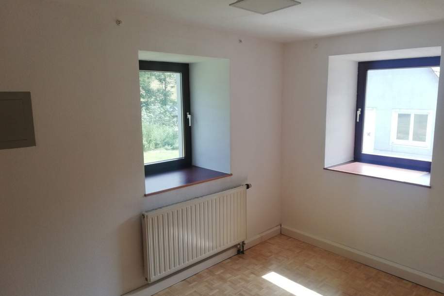 Herrliche Mietwohnung, Wohnung-miete, 800,00,€, 4707 Grieskirchen