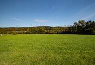 Baugrund in Thalgau zu verkaufen! Für Eigennutzer aber auch Bauträger interessant!