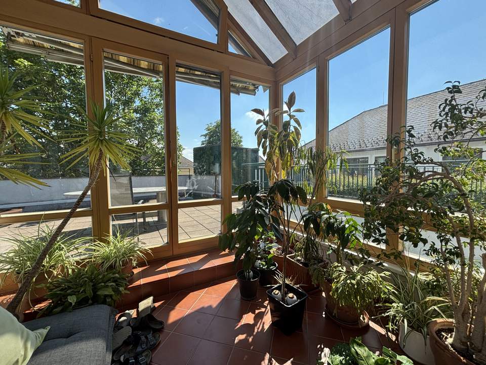 Mietwohnung mit genialer Dachterrasse und Wintergarten