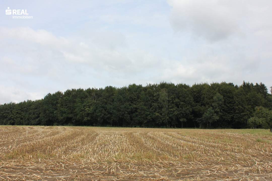 Landwirtschaftlich genutzte Grundstücke in 3300 Amstetten!!!