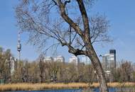 Luxuriöses 5 Zi.-Einfamilienhaus mit Homelift direkt an der Alten Donau – auf Eigengrund!