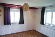 Gerneralsaniertes Anlegerhaus mit 2 Wohnungen oder Familienhaus!