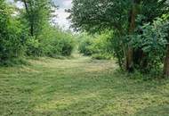 Natur vor der Haustür – Grundstück mit Weitblick und Grünlandanschluss
