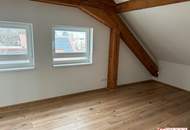 Dachoase- Penthouse Wohnung in Graz