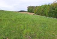 Holzschlag: Baugrundstück mit kleinem Wald in Traumlage!
