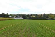 Traumhafte Baugrundstücke Mitten im Weinviertel