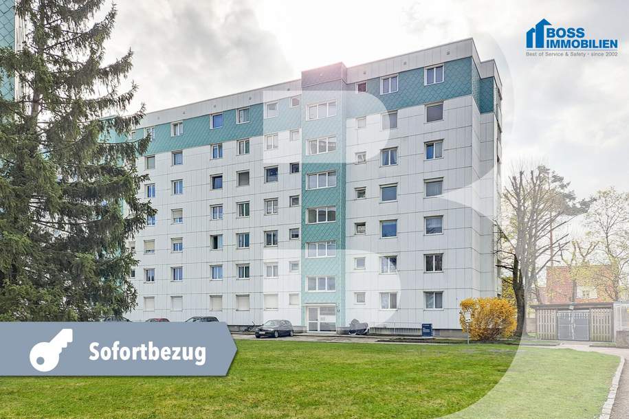Sunshine | mit Küche, Wohnung-miete, 873,00,€, 4600 Wels(Stadt)