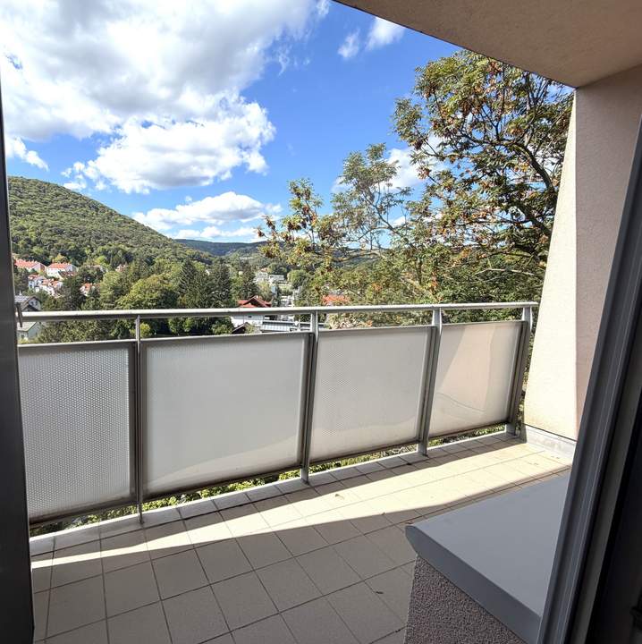 Schöne Single oder Pärchen Wohnung mit Aussicht!