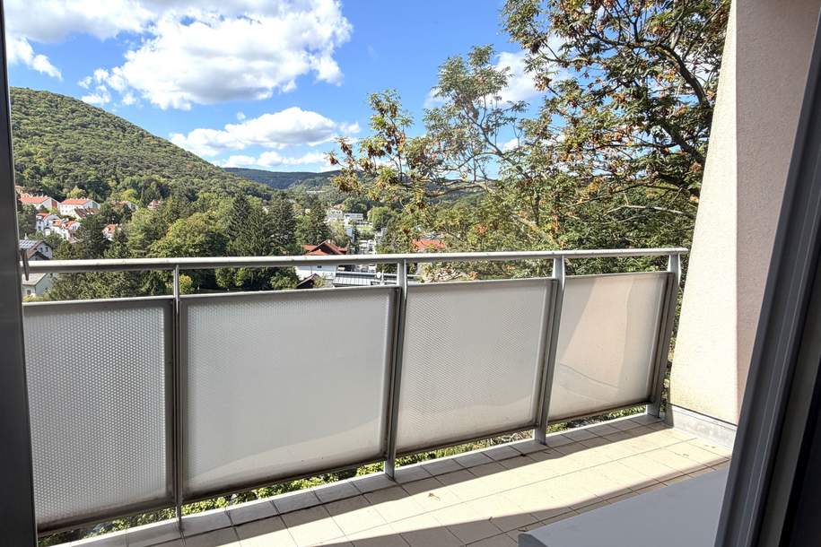Schöne Single oder Pärchen Wohnung mit Aussicht!, Wohnung-kauf, 259.000,€, 2340 Mödling