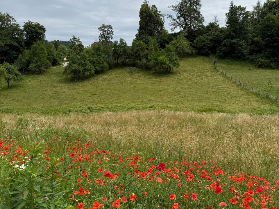 Schönes, sonniges Grundstück in herrlicher Lage in Maria Rain