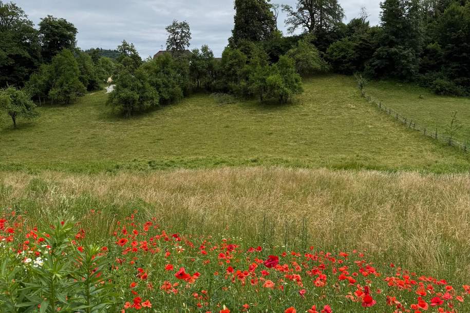 Schönes, sonniges Grundstück in herrlicher Lage in Maria Rain, Grund und Boden-kauf, 95.000,€, 9161 Klagenfurt Land