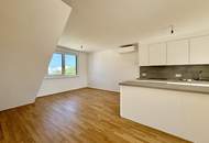 Lichtdurchflutete Dachwohnung mit offenem Wohn-Essbereich