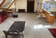 Träumst du vom Yogastudio im eigenen Haus? Hier ist es- mitten in Wr. Neustadt!