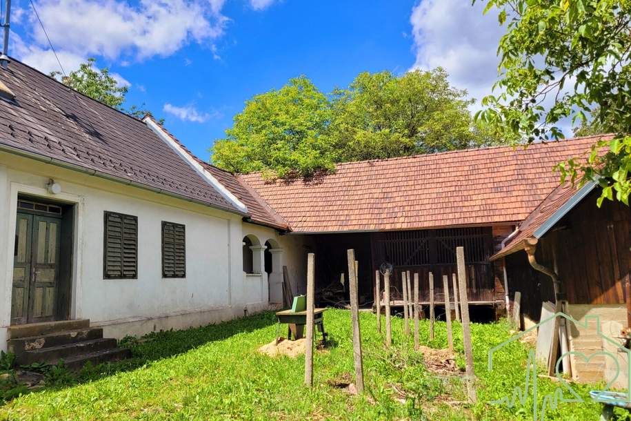 Burgenländischer Streckhof mit viel Potential - 1679 m² Grundstück BW in Kemeten!, Haus-kauf, 98.000,€, 7531 Oberwart