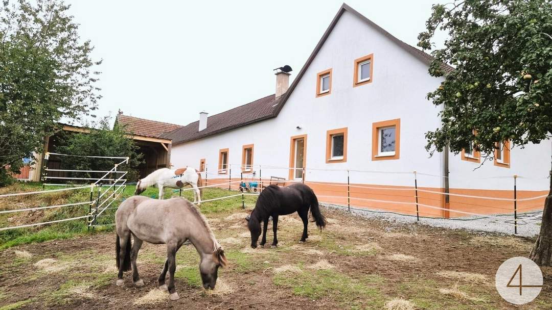 Selbstversorgerhit zum Träumen!