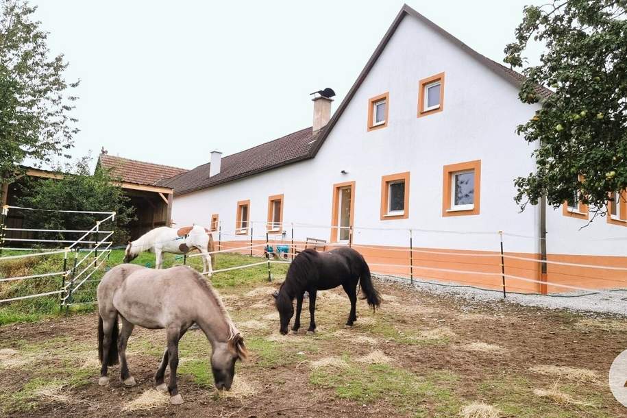 Selbstversorgerhit zum Träumen!, Haus-kauf, 3862 Gmünd