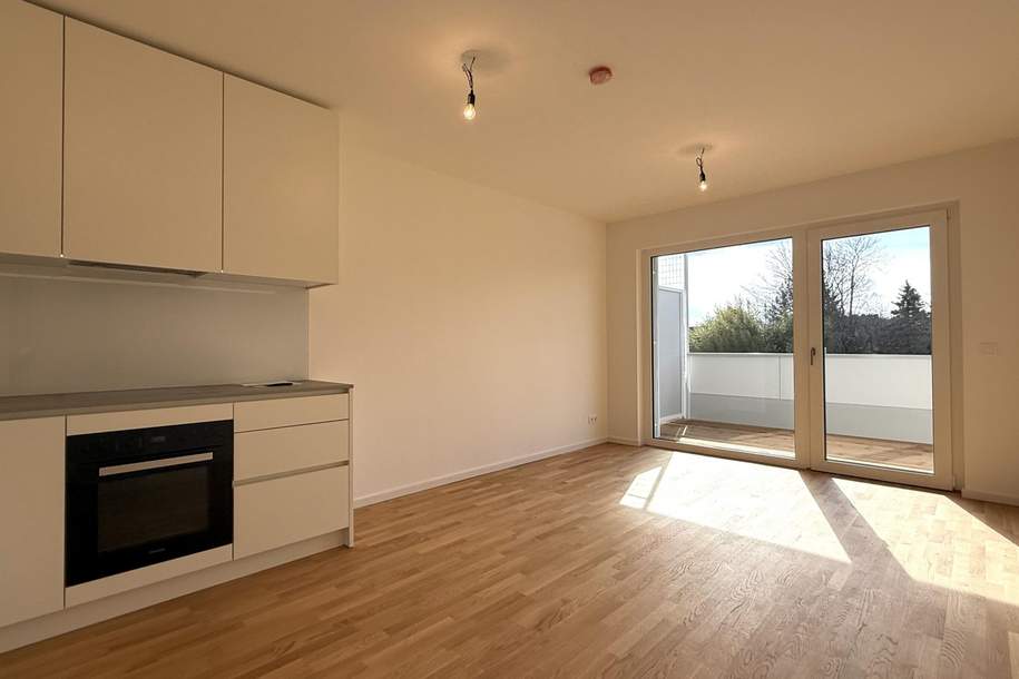 13m² Süd-Balkon! Top-Ausstattung! ERSTBEZUG im "The Vineyard"!!! HOFRUHELAGE!, Wohnung-miete, 1.195,00,€, 2344 Mödling