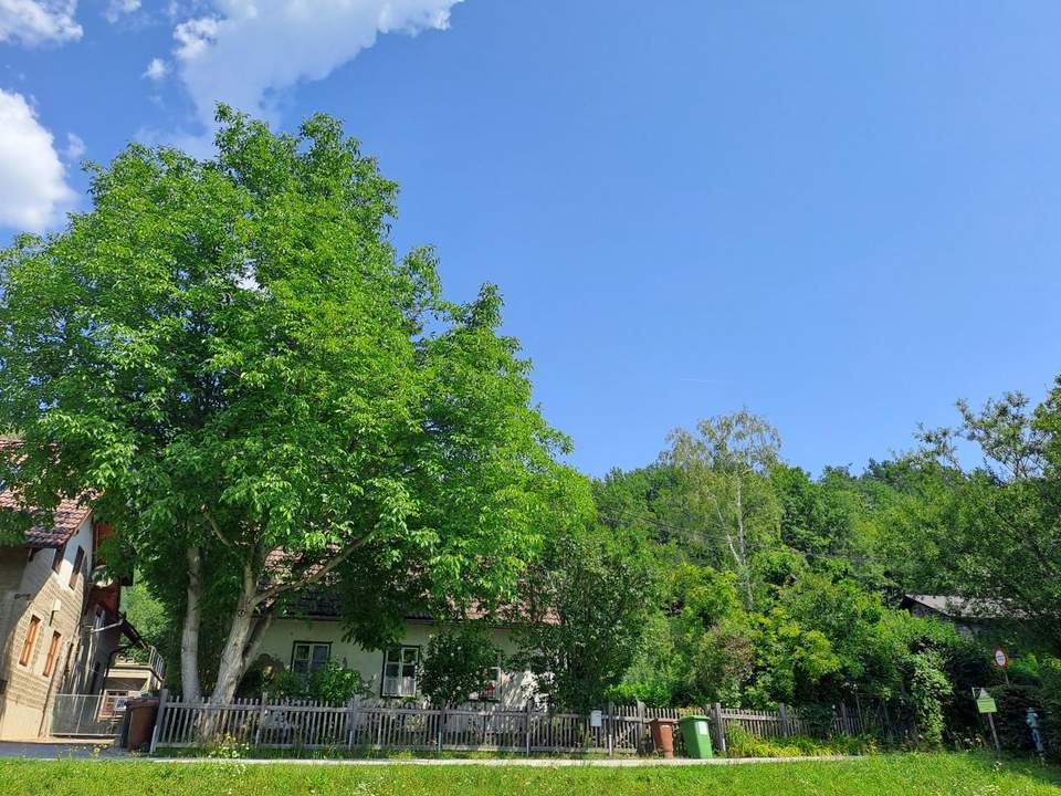 "IN KAUFABWICKLUNG" CHARMANTES KLEINES HAUS FÜR HANDWERKLICH GESCHICKTE HÄNDE
