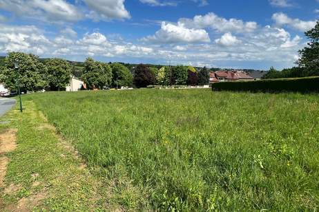 Traumhaftes sonniges Grundstück im Südburgenland!, Grund und Boden-kauf, 44.000,€, 7551 Güssing