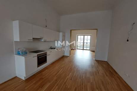 Residieren im Schloss! Haus 5 Top 17, Wohnung-miete, 1.199,00,€, 7100 Neusiedl am See