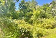 Exklusive Villa mit Möglichkeit für Praxis oder Office in absoluter Ruhelage am Waldrand mit Pool! Nähe Wien