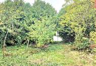 BAUGRUND in den Golser Weinbergen