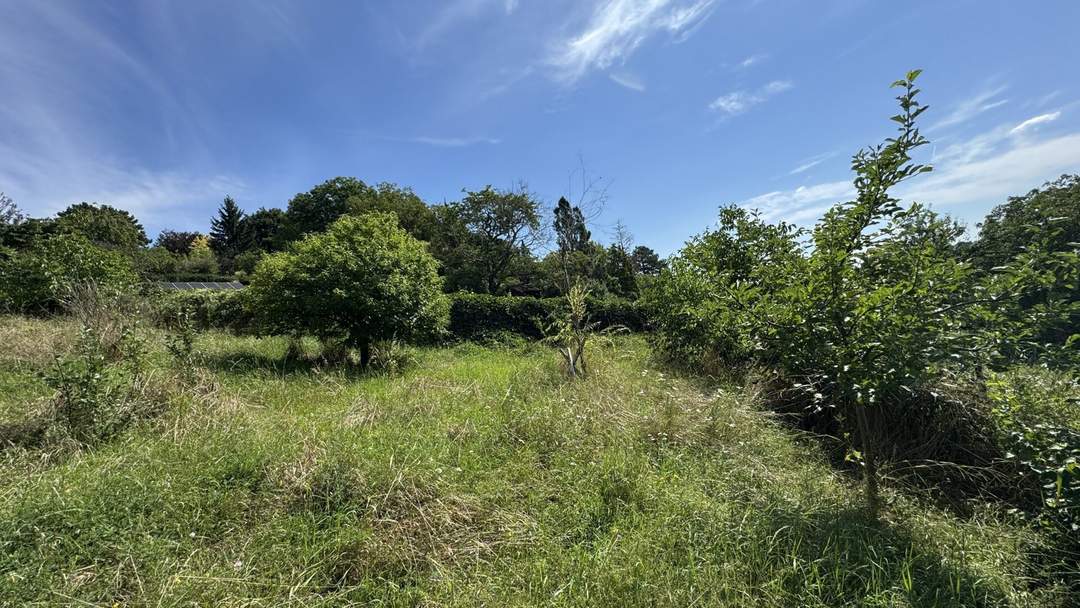 Seltenes Bauträgergrundstück mit Bestandshaus – 4.356 m², 4–5 Bauparzellen möglich, Klosterneuburg