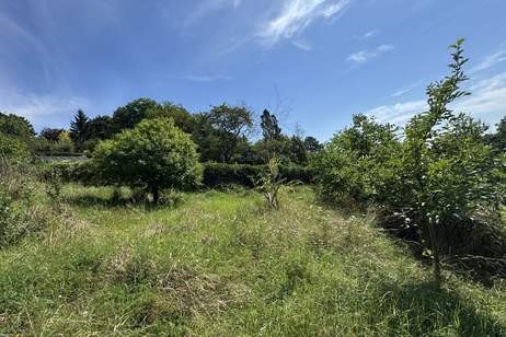 Seltenes Bauträgergrundstück mit Bestandshaus – 4.356 m², 4–5 Bauparzellen möglich, Klosterneuburg, Grund und Boden-kauf, 3400 Tulln