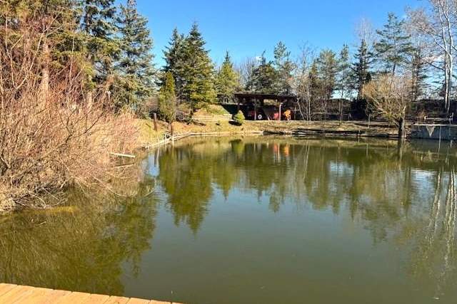 "Naturparadies mit eigenem Teich!", Gewerbeobjekt-kauf, 299.000,€, 2353 Mödling