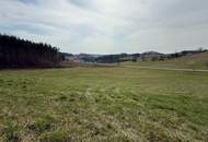 Schöner sonniger Baugrund im SÜDBURGENLAND