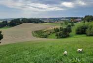 DREIFAMILIENHAUS IN HERRLICHER, RUHIGER LAGE MIT 6.000 m² GRUND - KAPITALANLAGE ODER EIGENNUTZUNG