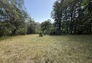 Natur pur! Gemütliches Einfamilienhaus in Feichtenbach mit Garten, Terrasse und Kamin!